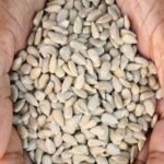 Sunflower Seeds 200 Grams - Image 3